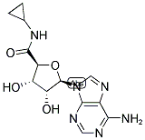 50908-62-8,5'-(N-CYCLOPROPYL)CARBOXAMIDOADENOSINE