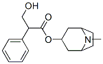 51-55-8,Atropine