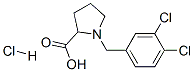 511544-19-7,1-(3,4-DICHLORO-BENZYL)-PYRROLIDINE-2-CARBOXYLIC ACID HYDROCHLORIDE