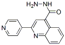 5206-34-8,2-PYRIDIN-4-YL-QUINOLINE-4-CARBOXYLIC ACID HYDRAZIDE