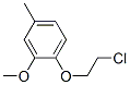 521061-61-0,CHEMBRDG-BB 9070585