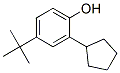 52762-67-1,4-tert-butyl-2-cyclopentylphenol