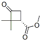 527751-17-3,Cyclobutanecarboxylic acid, 2,2-dimethyl-3-oxo-, methyl ester, (1S)- (9CI)