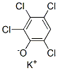 53535-27-6,2,3,4,6-tetrachlorophenol, potassium salt