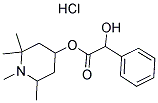 536-93-6,EUCATROPINE HYDROCHLORIDE