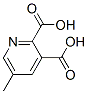 53636-65-0,5-Methylpyridine-2,3-dicarboxylic acid