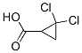 5365-14-0,2,2-DICHLORO-CYCLOPROPANECARBOXYLIC ACID