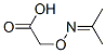 5382-89-8,ACETONE CARBOXYMETHOXIME