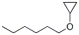 5462-72-6,1-cyclopropyloxyhexane