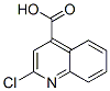 5467-57-2,2-CHLOROQUINOLINE-4-CARBOXYLIC ACID