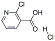 56055-55-1,2-CHLORONICOTINIC ACID HYDROCHLORIDE