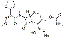 56238-63-2,Cefuroxime sodium