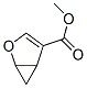 56666-81-0,2-Oxabicyclo[3.1.0]hex-3-ene-4-carboxylicacid,methylester(9CI)