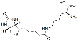 576-19-2,Biocytin