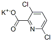 58509-83-4,potassium 3,6-dichloropyridine-2-carboxylate
