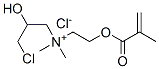 58564-96-8,(3-chloro-2-hydroxypropyl)dimethyl[2-[(2-methyl-1-oxoallyl)oxy]ethyl]ammonium chloride