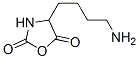 5860-61-7,4-(4-aminobutyl)oxazolidine-2,5-dione