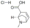 5937-74-6,(1R)-8-methyl-8-azabicyclo[3.2.1]oct-3-ene-2-carboxylic acid hydrochloride