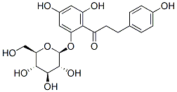 60-81-1,Phlorizin