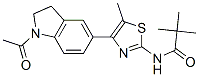 606121-87-3,Propanamide, N-[4-(1-acetyl-2,3-dihydro-1H-indol-5-yl)-5-methyl-2-thiazolyl]-2,2-dimethyl- (9CI)