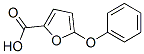 60698-32-0,5-PHENOXY-2-FUROIC ACID