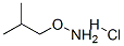 6084-58-8,O-ISOBUTYLHYDROXYLAMINE HYDROCHLORIDE
