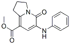 612065-18-6,METHYL 5-OXO-6-PHENYLAMINO-1,2,3,5-TETRAHYDROINDOLIZINE-8-CARBOXYLATE
