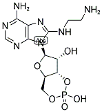 61363-29-9,8-(2-AMINOETHYL) AMINOADENOSINE-3',5'-CYCLIC MONOPHOSPHATE