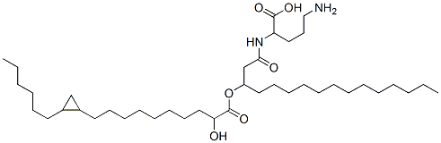 61574-56-9,5-amino-2-[3-[10-(2-hexylcyclopropyl)-2-hydroxy-decanoyl]oxyhexadecanoylamino]pentanoic acid