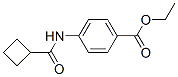 620103-23-3,Benzoic acid, 4-[(cyclobutylcarbonyl)amino]-, ethyl ester (9CI)