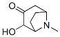 62251-42-7,8-Azabicyclo[3.2.1]octan-3-one,2-hydroxy-8-methyl-,endo-(9CI)