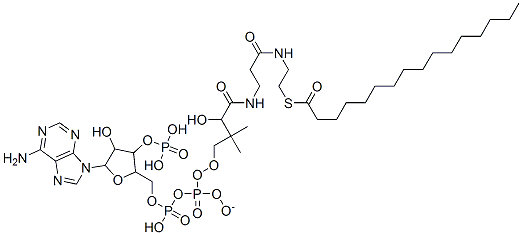 62358-02-5,[5-(6-aminopurin-9-yl)-4-hydroxy-3-phosphonooxyoxolan-2-yl]methyl [[4-[[3-(2-hexadecanoylsulfanylethylamino)-3-oxopropyl]amino]-3-hydroxy-2,2-dimethyl-4-oxobutoxy]-oxidophosphoryl] phosphate