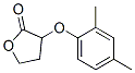 6307-24-0,3-(2,4-dimethylphenoxy)oxolan-2-one