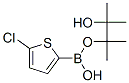 635305-24-7,5-CHLOROTHIOPHENE-2-BORONIC ACID PINACOL ESTER