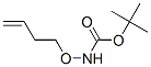 635757-93-6,Carbamic acid, (3-butenyloxy)-, 1,1-dimethylethyl ester (9CI)
