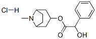 637-21-8,HOMATROPINE HYDROCHLORIDE