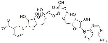 6450-77-7,1-[5-[[[[5-(6-aminopurin-9-yl)-3,4-dihydroxy-oxolan-2-yl]methoxy-hydroxy-phosphoryl]oxy-hydroxy-phosphoryl]oxymethyl]-3,4-dihydroxy-oxolan-2-yl]pyridine-5-carboxylate