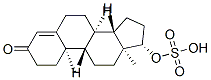 651-45-6,(8R,9S,10R,13S,14S,17S)-10,13-dimethyl-3-oxo-17-sulfooxy-1,2,6,7,8,9,11,12,14,15,16,17-dodecahydrocyclopenta[a]phenanthrene