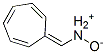 65194-06-1,1-cyclohepta-2,4,6-trienylidene-methyl-oxido-azanium