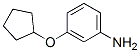 653604-38-7,Benzenamine, 3-(cyclopentyloxy)- (9CI)