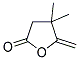 65371-43-9,4,4-DIMETHYL-5-METHYLENE-GAMMA-BUTYROLACTONE