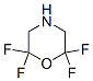 65502-95-6,Morpholine, 2,2,6,6-tetrafluoro- (9CI)