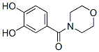 656804-32-9,Morpholine, 4-(3,4-dihydroxybenzoyl)- (9CI)
