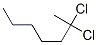 65786-09-6,2,2-dichloroheptane