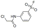 658-97-9,3-[(2-chloroacetyl)amino]benzenesulfonyl fluoride