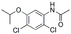 65948-71-2,2,4-DICHLORO-5-(2-PROPYLOXY)ACETANILIDE