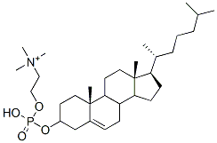 65956-64-1,CHOLESTERYL PHOSPHORYL CHOLINE