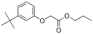 66227-09-6,propyl [3-(1,1-dimethylethyl)phenoxy]acetate