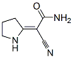 66751-23-3,Acetamide,  2-cyano-2-(2-pyrrolidinylidene)-
