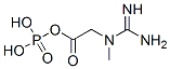 67-07-2,Creatine phosphate